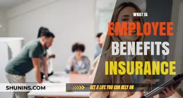 Understanding Employee Benefits Insurance: A Comprehensive Guide for Employers
