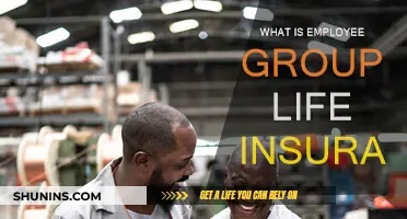 Employee Group Life Insurance: Understanding the Basics