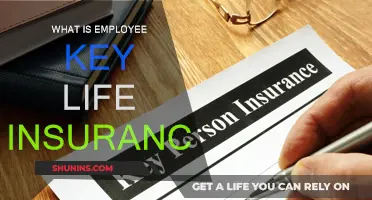 Employee Key Life Insurance: What Your Business Needs to Know