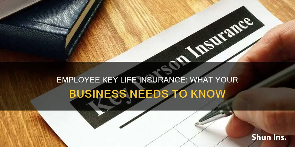 what is employee key life insurance