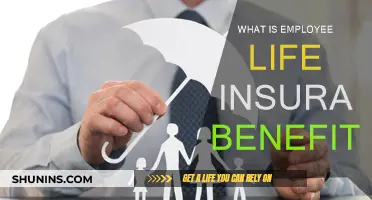 Employee Life Insurance: Understanding Your Death Benefit