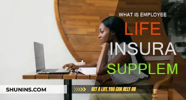 Employee Life Insurance: Understanding Your Supplemental Coverage