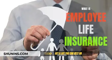 Employee Life Insurance: What You Need to Know