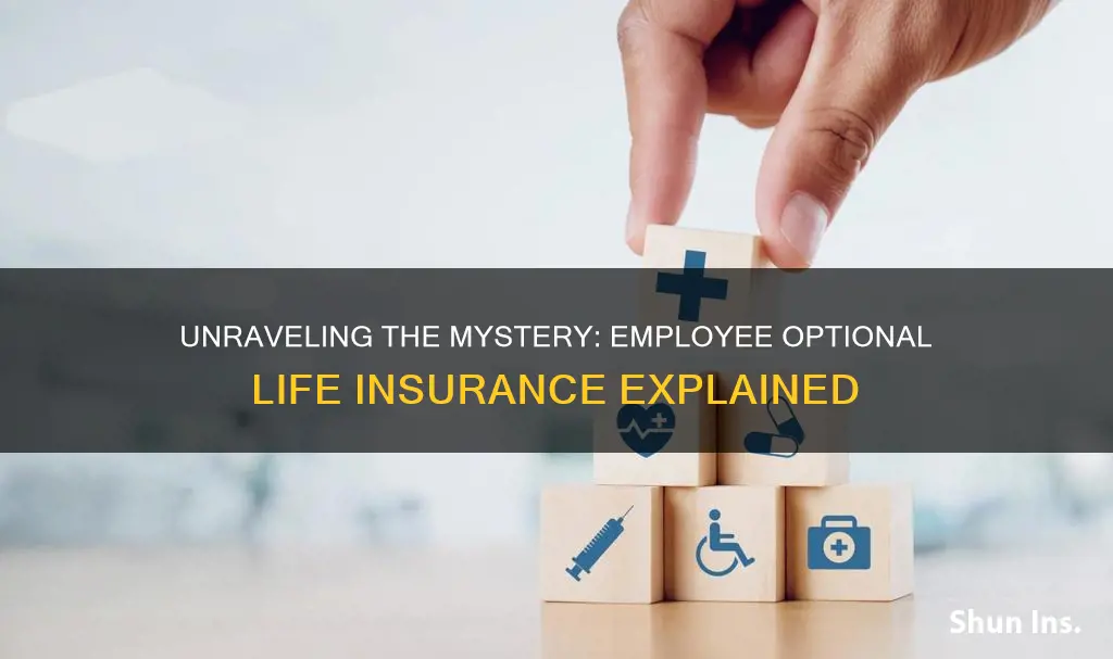 what is employee optional life insurance for