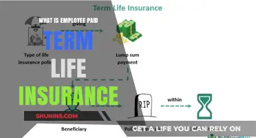 Employee-Funded Term Life Insurance: A Cost-Effective Way to Protect Your Family