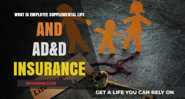 Employee Supplemental Life and AD&D Insurance: A Comprehensive Guide