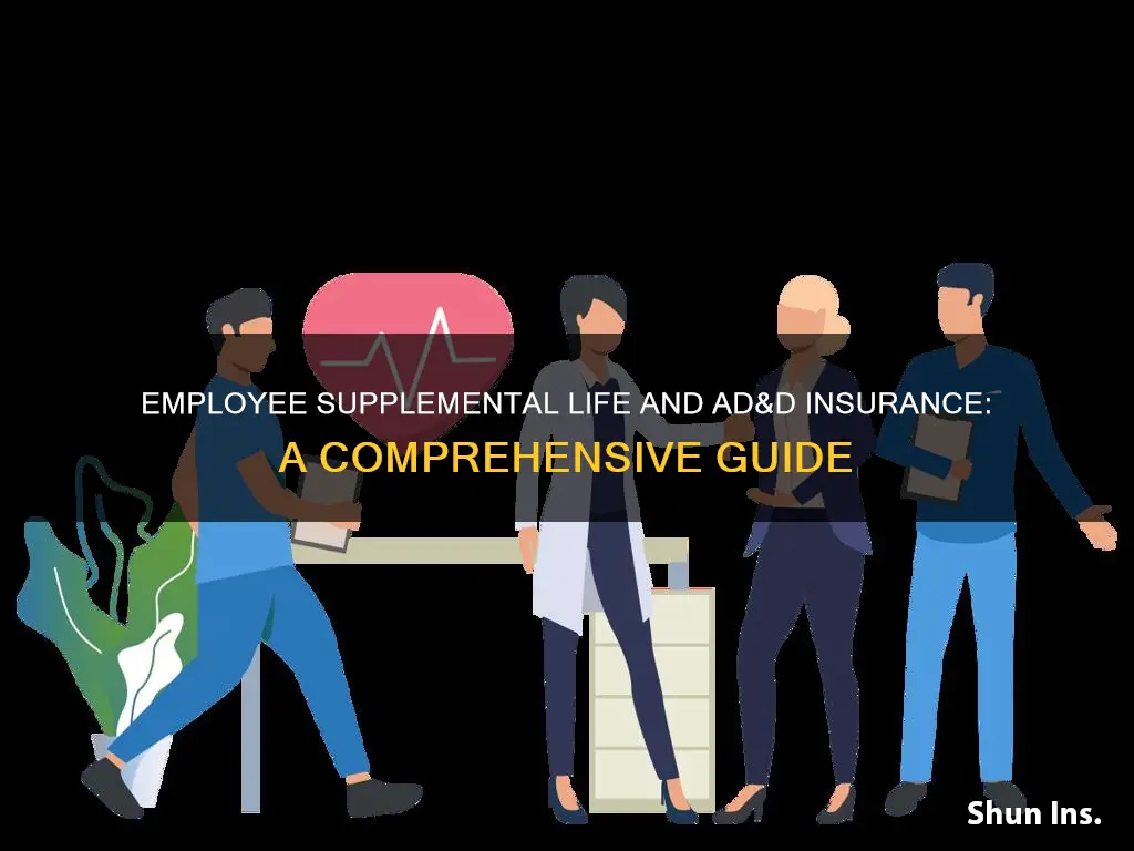 what is employee supplemental life and ad&d insurance