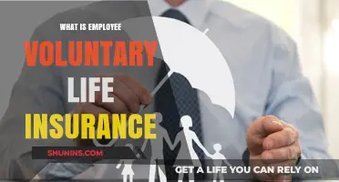 Uncover the Benefits: Understanding Employee Voluntary Life Insurance