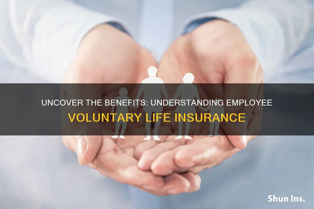 what is employee voluntary life insurance