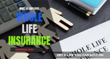 Whole Life Insurance: Understanding Employee Benefits and Coverage