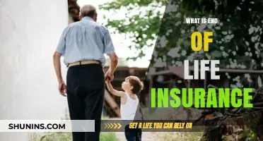 Understanding End-of-Life Insurance: A Comprehensive Guide