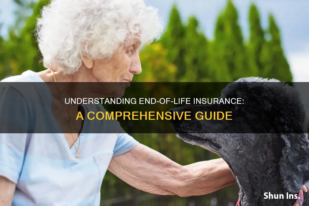 what is end of life insurance