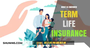 Endowed Term Life Insurance: A Comprehensive Guide