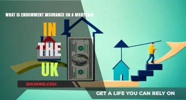 Endowment Mortgage Insurance: What UK Homeowners Need to Know