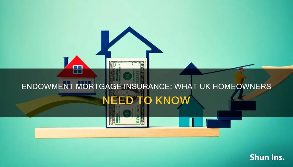 what is endowment insurance on a mortgage in the uk