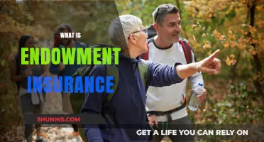 Understanding Endowment Insurance: Benefits, Types, and How It Works