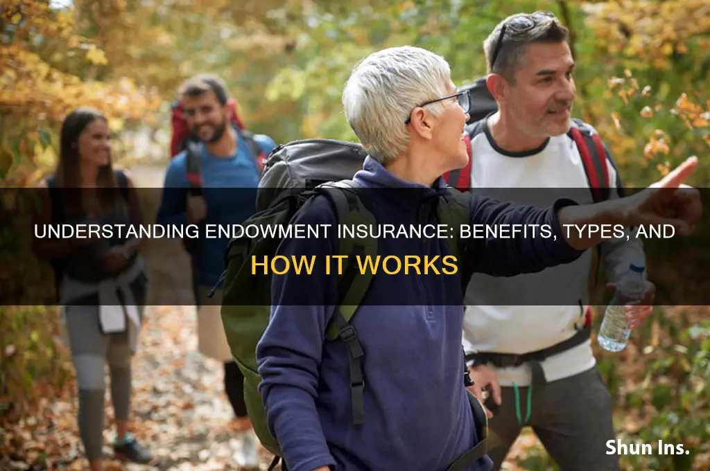 what is endowment insurance