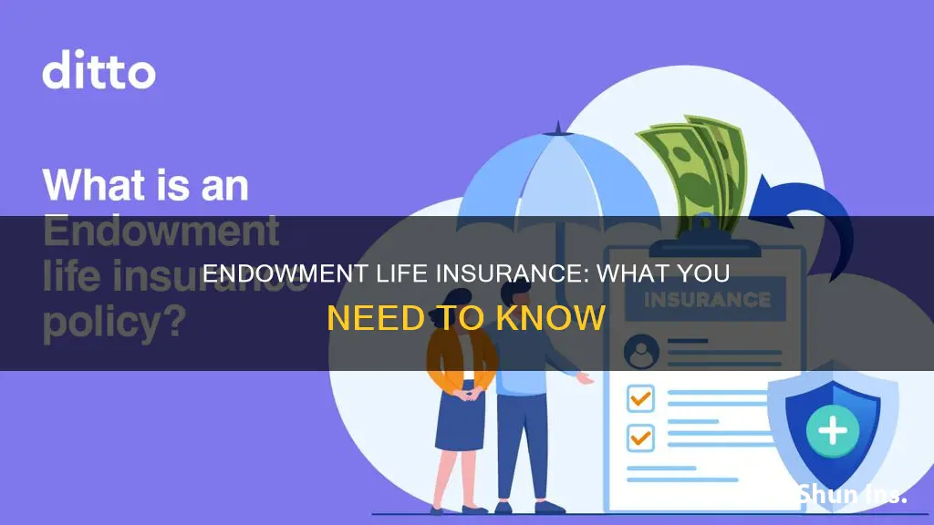 what is endowment life insurance