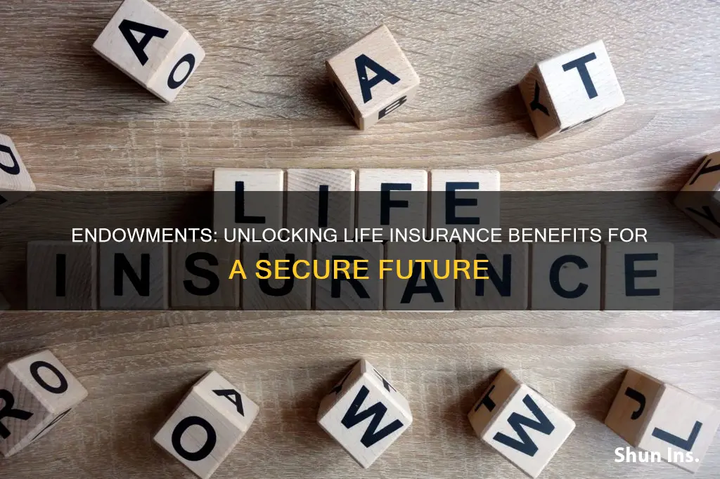 what is endows concerning life insurance