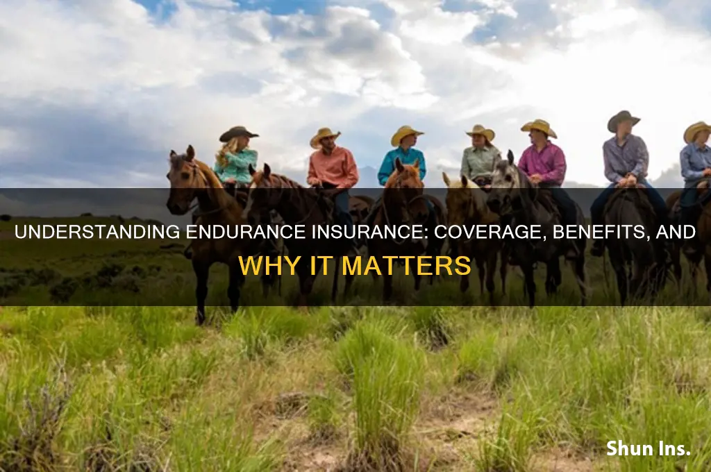 what is endurance insurance