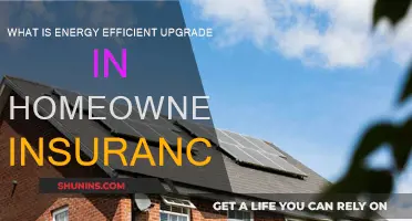 Energy-Efficient Upgrades: Home Insurance Savings