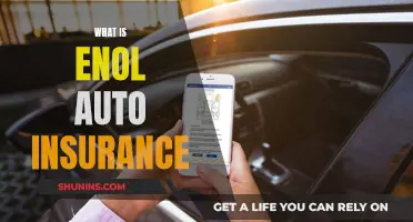 Enol Auto Insurance: What You Need to Know