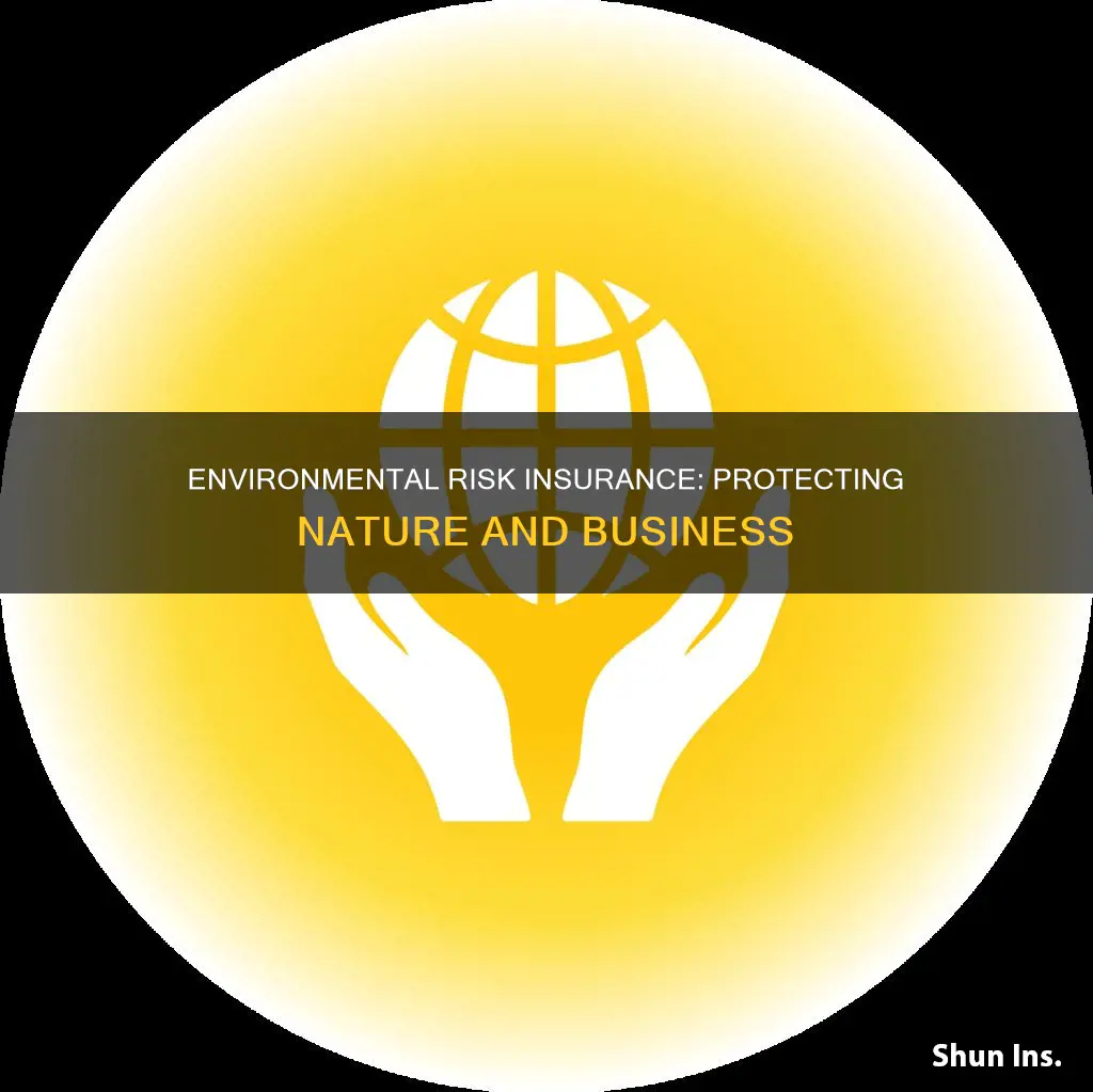 what is environmental risk insurance
