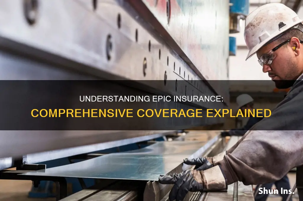 what is epic insurance