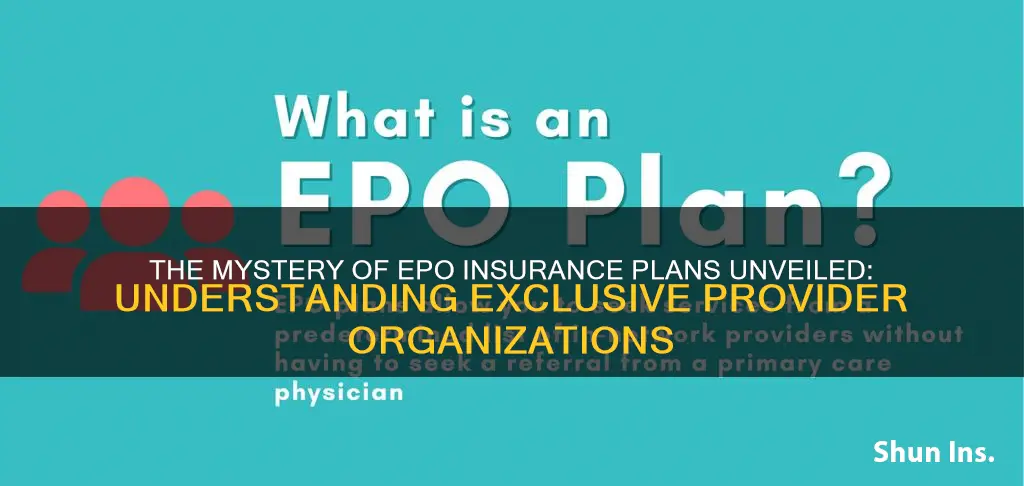 what is epo in insurance terms