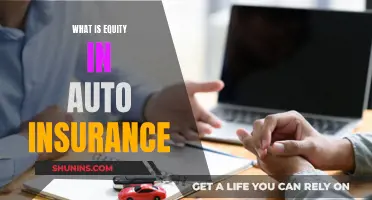 Auto Insurance Equity: Understanding the Basics