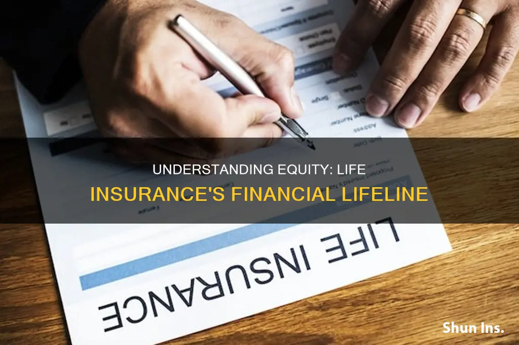 what is equity in life insurance