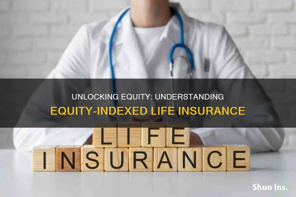 what is equity indexed life insurance