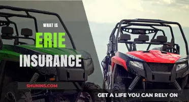 Understanding Erie Insurance: Coverage, Benefits, and Why It Matters