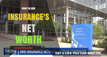 Erie Insurance's Net Worth: A Billion-Dollar Overview