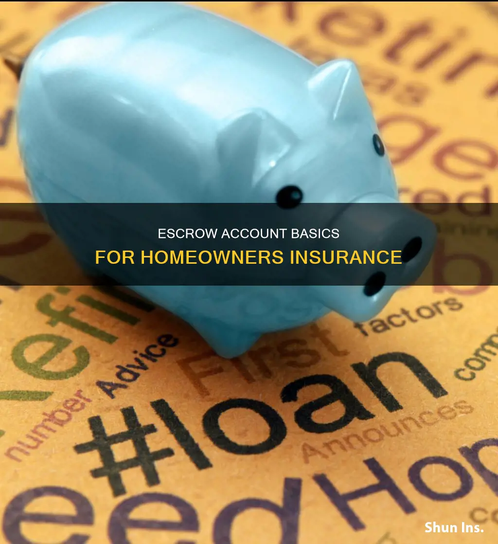 what is escrow account homeowners insurance