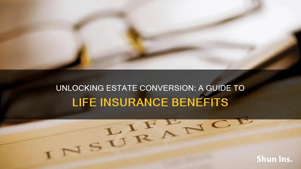 what is estate conversion imn life insurance