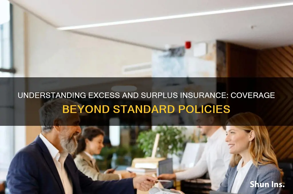what is excess and surplus insurance