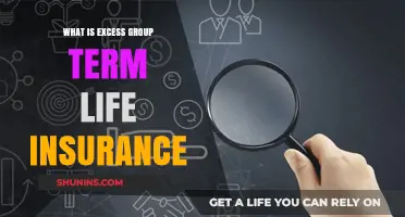 Understanding Excess Group Term Life Insurance: A Comprehensive Guide