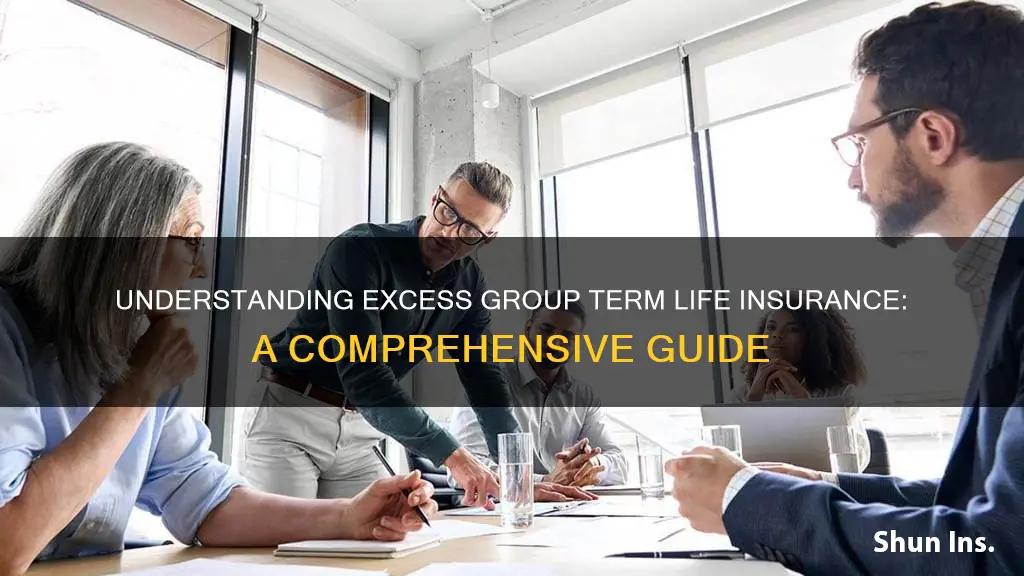 what is excess group term life insurance