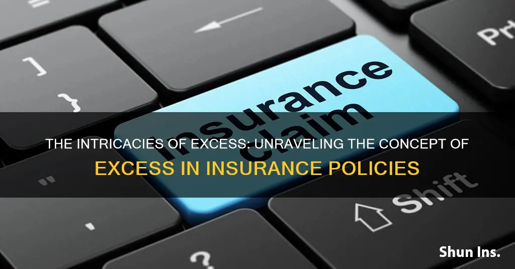 what is excess in insurance terms