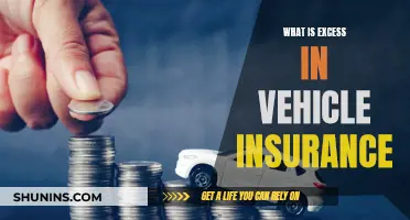 Vehicle Insurance Excess: What's the Deal?