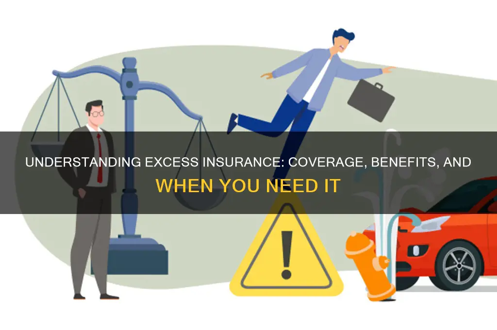 what is excess insurance