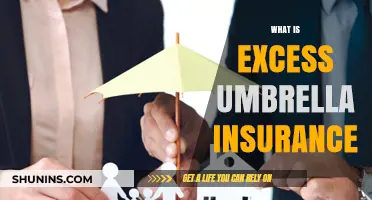 Understanding Excess Umbrella Insurance: Extra Protection Beyond Your Basic Policies