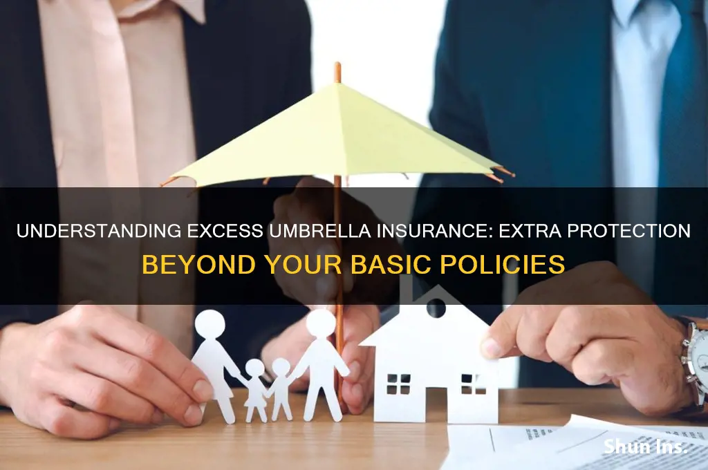 what is excess umbrella insurance