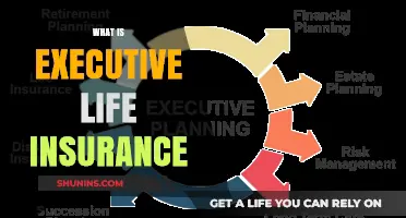 Understanding Executive Life Insurance: A Comprehensive Guide