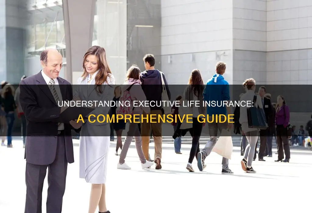 what is executive life insurance