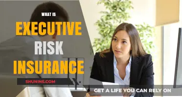 Protecting Executives: Executive Risk Insurance Explained