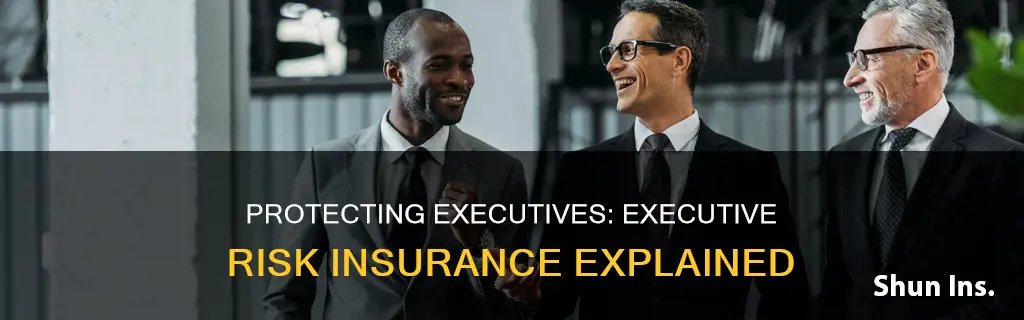 what is executive risk insurance