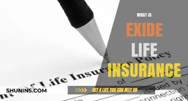 Unraveling Exide Life Insurance: A Comprehensive Guide