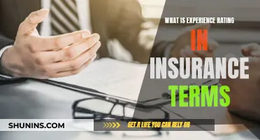 The Intricacies of Experience Rating: Unraveling Insurance's Impact on Businesses